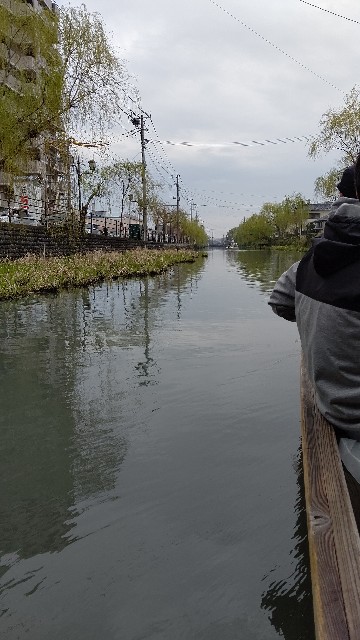 f:id:kanbocho:20200524224255j:image