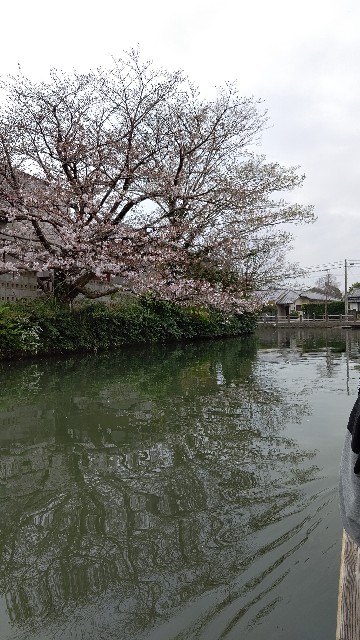 f:id:kanbocho:20200524224440j:image