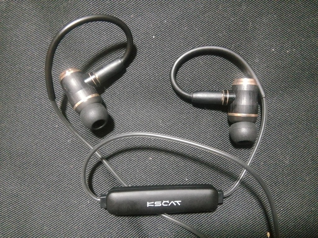 KSCAT BC05（JVC HA-FX1100 カスタム）