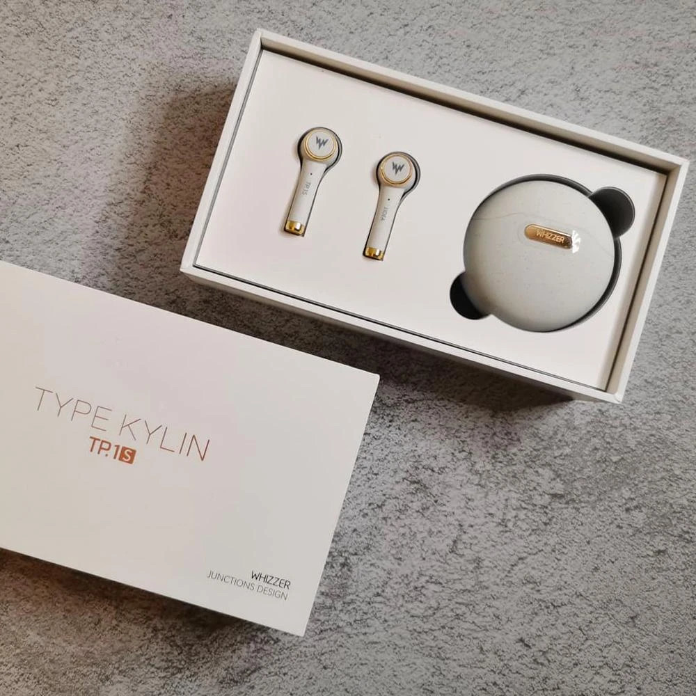 Whizzer Kylin TP1S