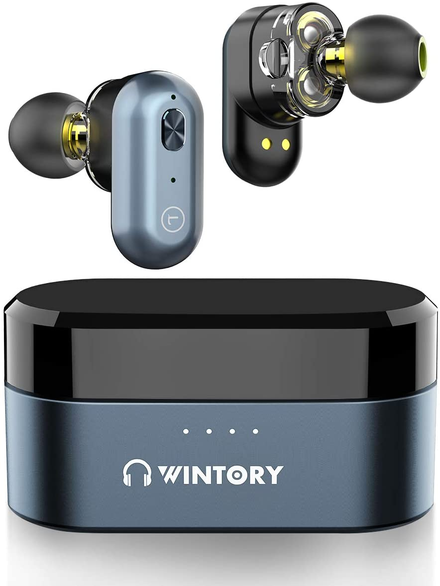 Wintory Dual 1