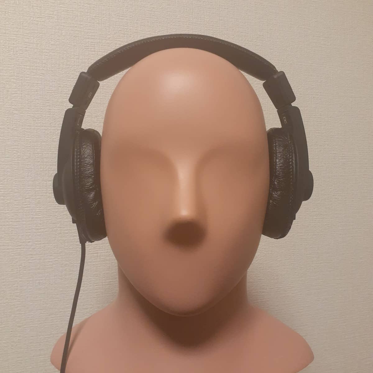 SoundWarrior SW-HP10S
