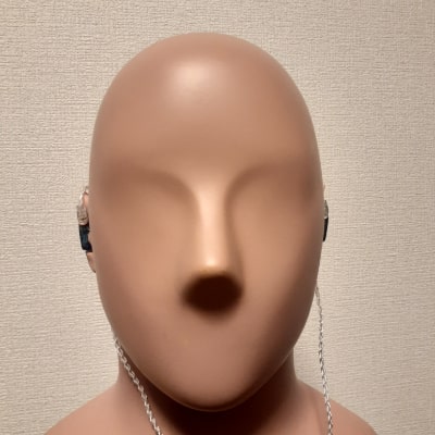 Audiosnse DT100 Audiosnse DT100