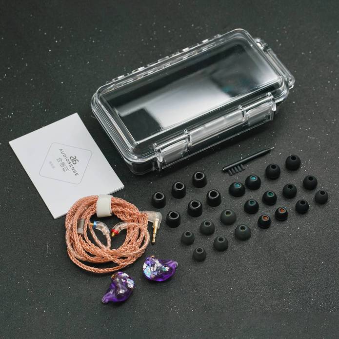 Audiosense DT600