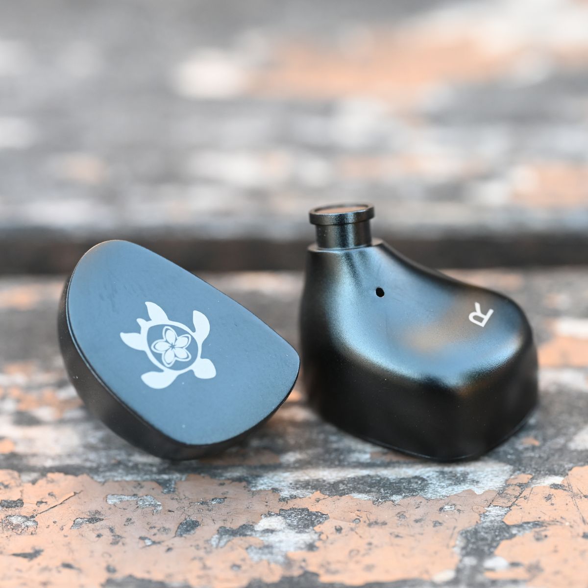 Tripowin x HBB Olina SE