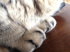 f:id:kanchi-gogo:20120122121850j:image
