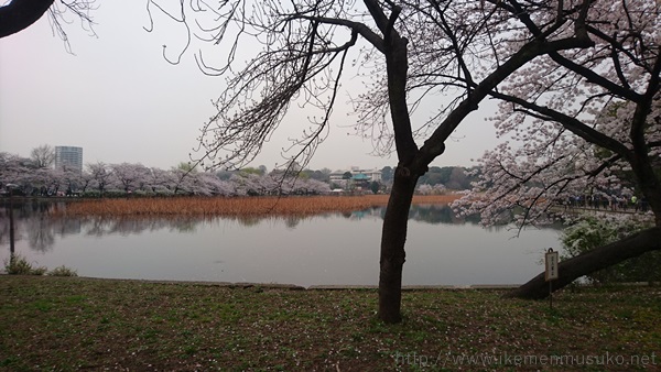 f:id:kanchi_guy_nice_guy:20180402163606j:plain f:id:kanchi_guy_nice_guy:20180402163606j:plain