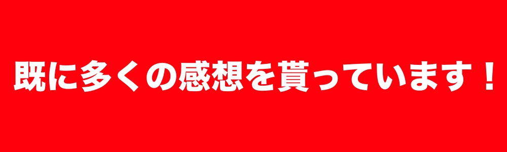 f:id:kandaimasato:20181118182945j:plain