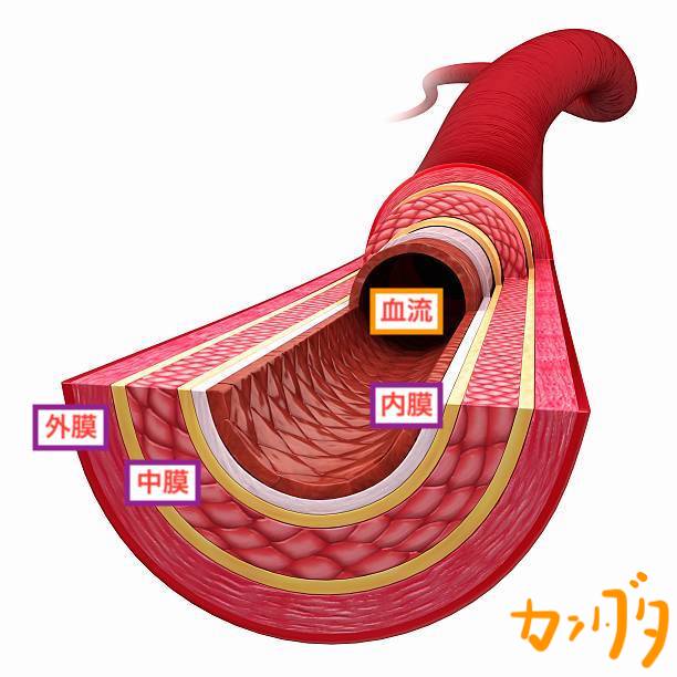 f:id:kandata_shachiku:20201211120734j:plain