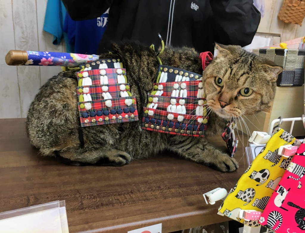 f:id:kandaya:20170401095342j:plain