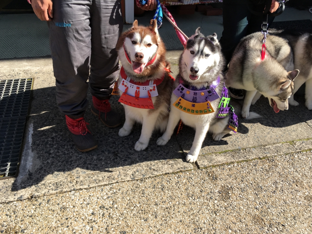 f:id:kandaya:20170401100514j:plain