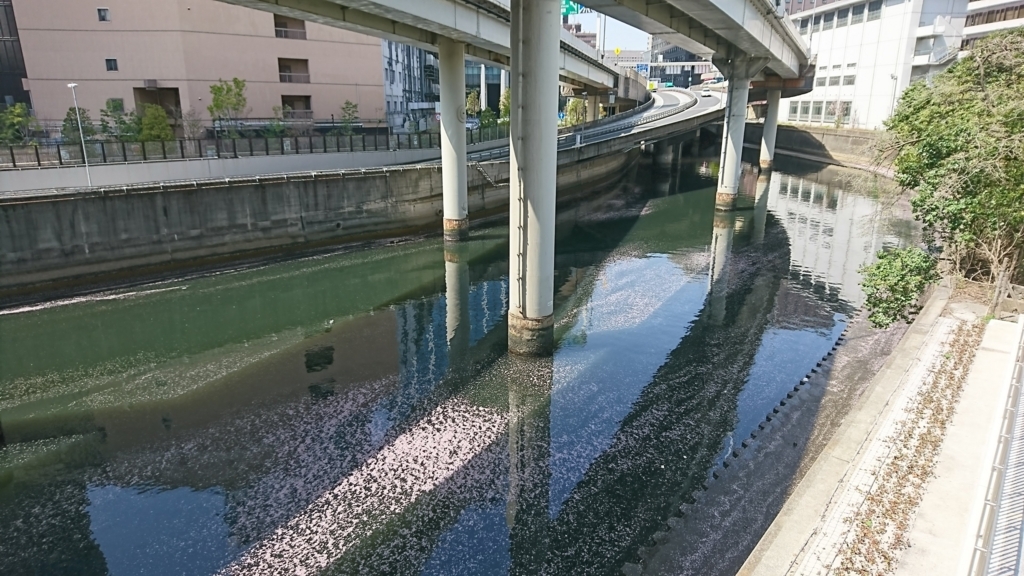 f:id:kandazumi:20180403125402j:plain