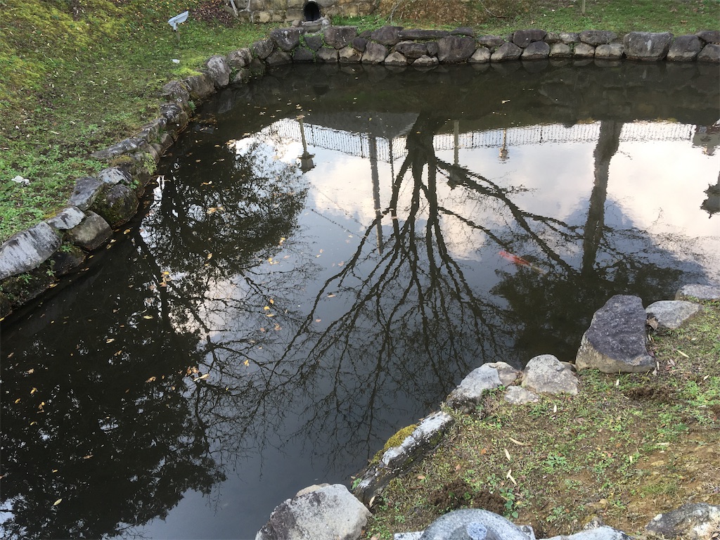f:id:kandinskyt:20191219154716j:image f:id:kandinskyt:20191219154716j:image