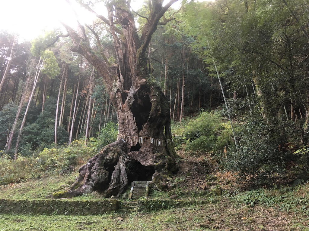 縁結びの『夫婦檜』や武雄神社の御神木『大楠』でも知られる佐賀県武雄市の観 …