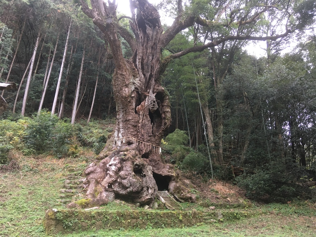 縁結びの『夫婦檜』や武雄神社の御神木『大楠』でも知られる佐賀県武雄 …