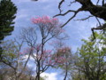 大台ケ原