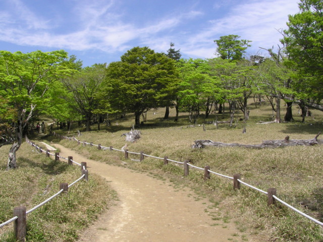 大台ケ原