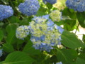 20100612213244