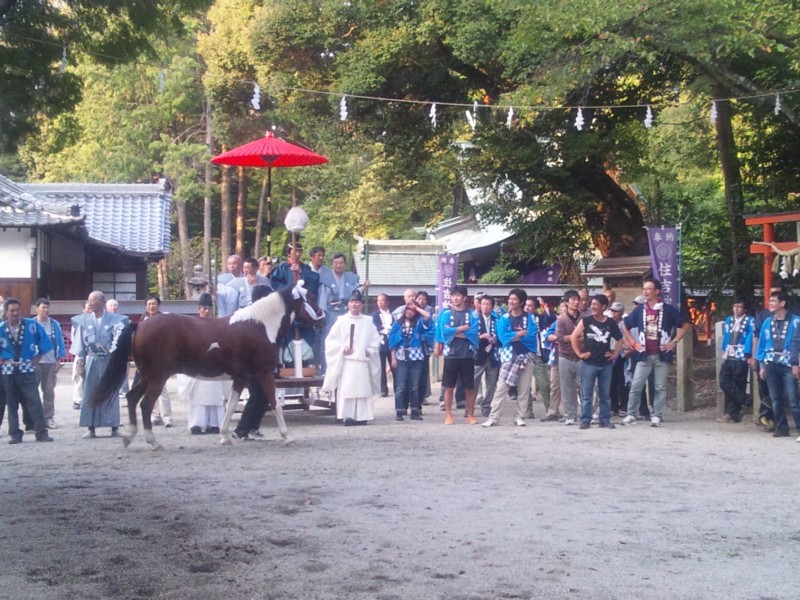 20131014馬駆神事(河内長野市住吉神社)