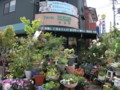 葉菜野(ユニークなおっちゃんの花屋さん・河内長野市昭栄町))