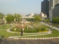 20150508中之島バラ園