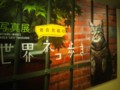 岩合光照氏の世界のネコ写真展