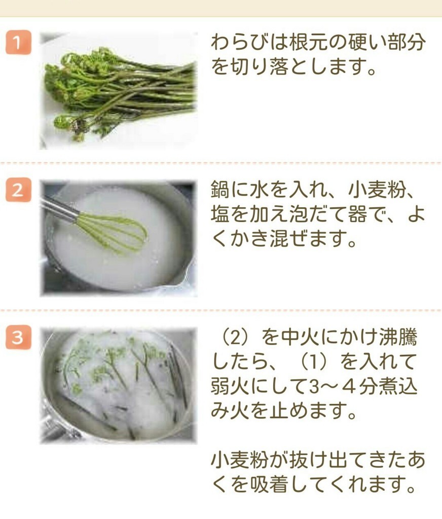 ワラビの灰汁 あく 抜きは小麦粉で簡単 植物は外敵から身を守るために灰汁を持っているのです ほうちゃんの日記 感動 ワラビの灰汁 あく 抜きは小麦粉で簡単 植物は外敵から身を守るために灰汁を持っているのです ほうちゃんの日記 感動