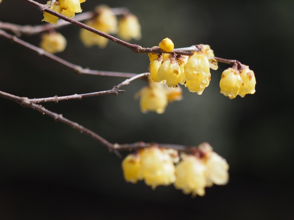 f:id:kandou:20190207172802j:plain f:id:kandou:20190207172802j:plain