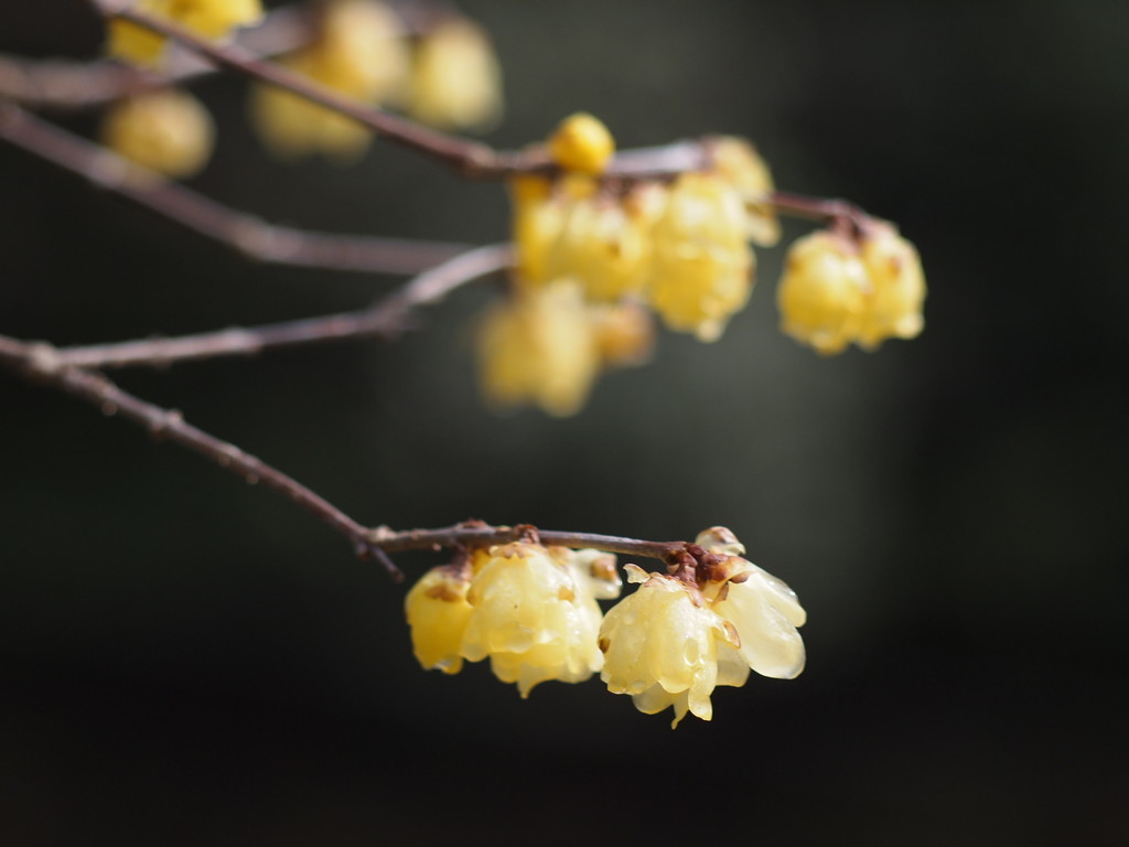 f:id:kandou:20190207172907j:plain f:id:kandou:20190207172907j:plain