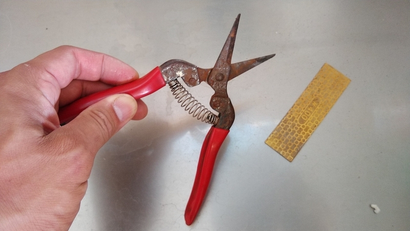 f:id:kandzume:20210806083933j:plain