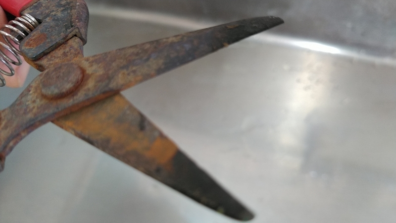 f:id:kandzume:20210806090603j:plain