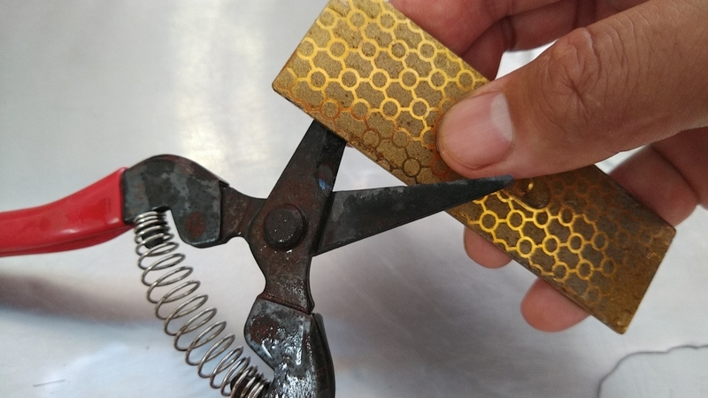 f:id:kandzume:20210806090756j:plain