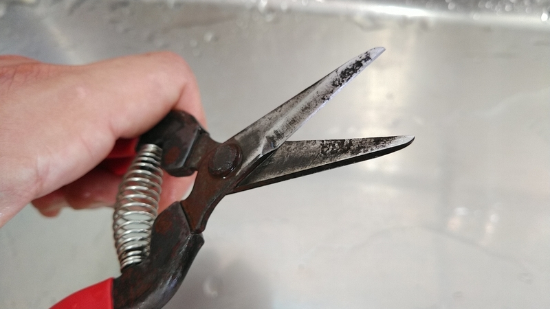 f:id:kandzume:20210806092641j:plain