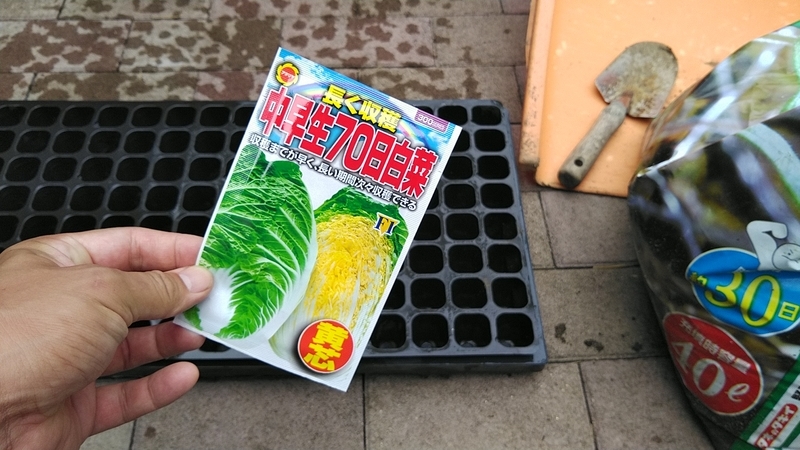 f:id:kandzume:20210821155443j:plain