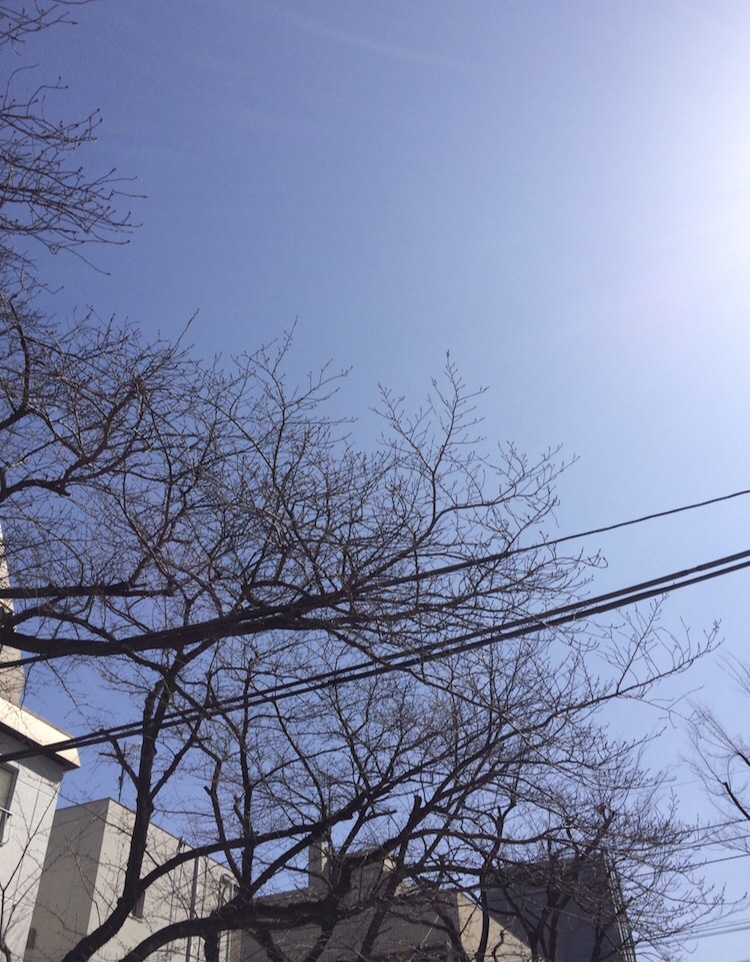 f:id:kanedanobaiku:20180521191215j:plain f:id:kanedanobaiku:20180521191215j:plain