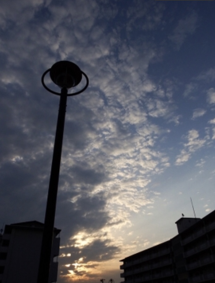 f:id:kanedanobaiku:20180618163344j:plain f:id:kanedanobaiku:20180618163344j:plain