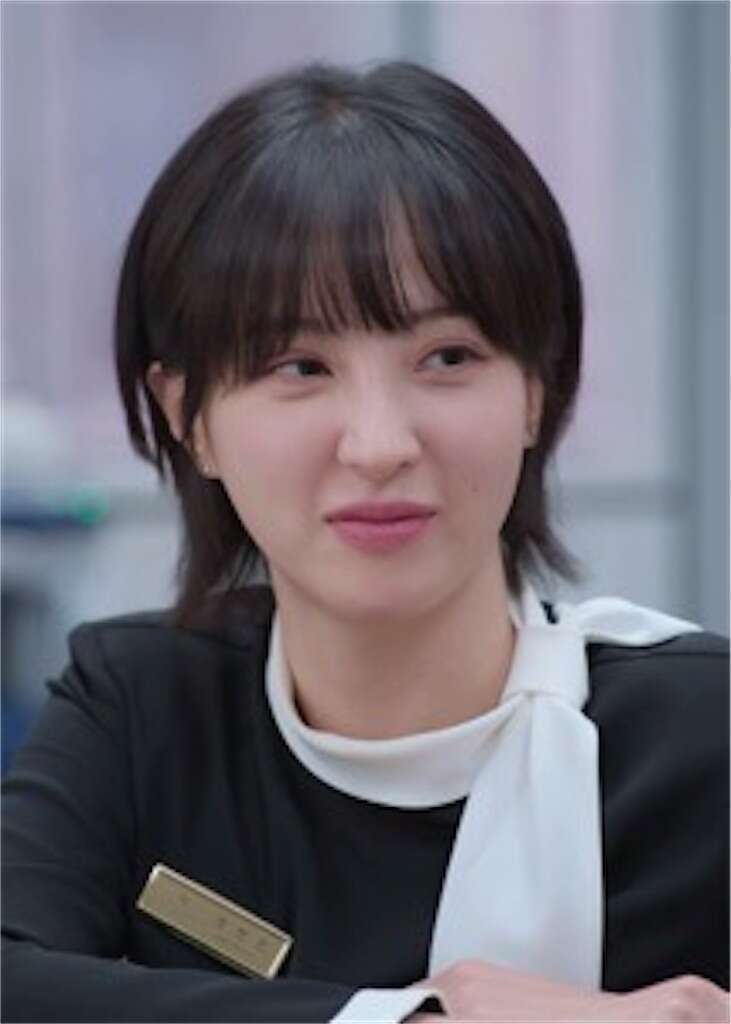 韓国ドラマ【未婚男女の効率的な出会い方】キャスト｜チョン・ヘソン（チョン・ヒョンミン役）