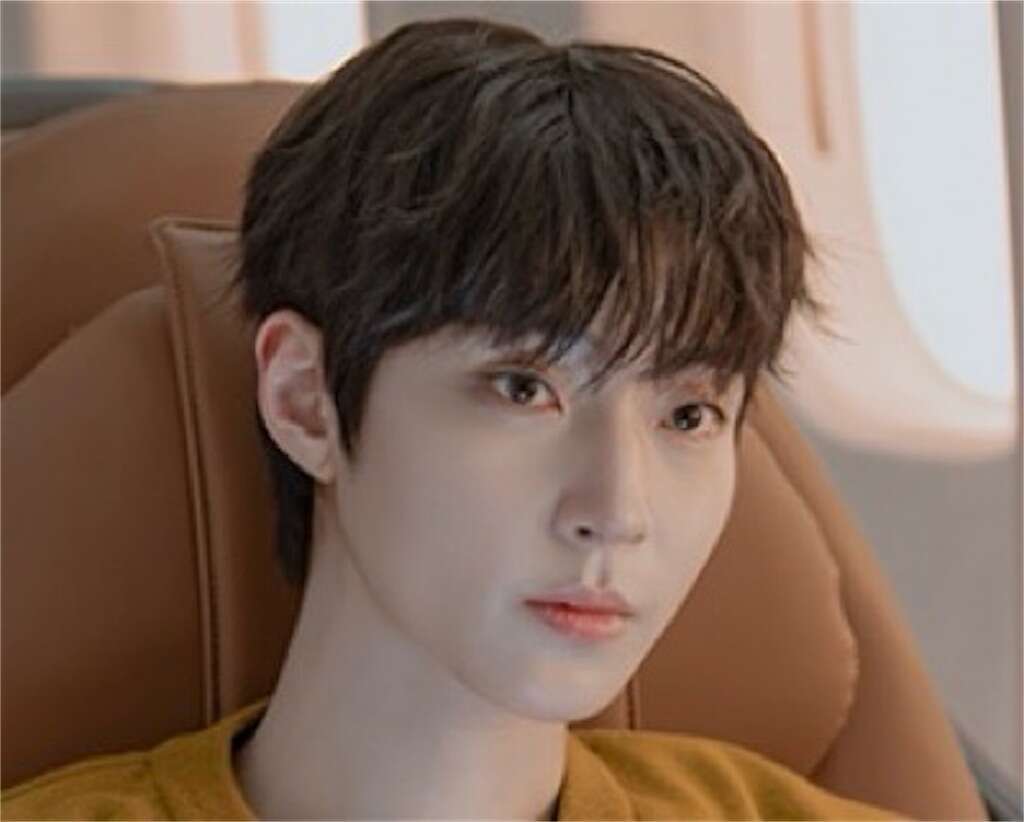 韓国ドラマ【君へと続く僕のドリーム！】キャスト｜ファン・イニョプ（ウ・スビン役）
