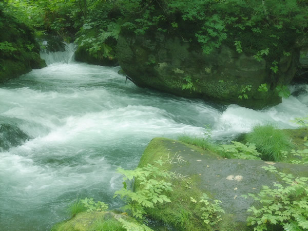 f:id:kanehiro-sakae:20210807015913j:plain