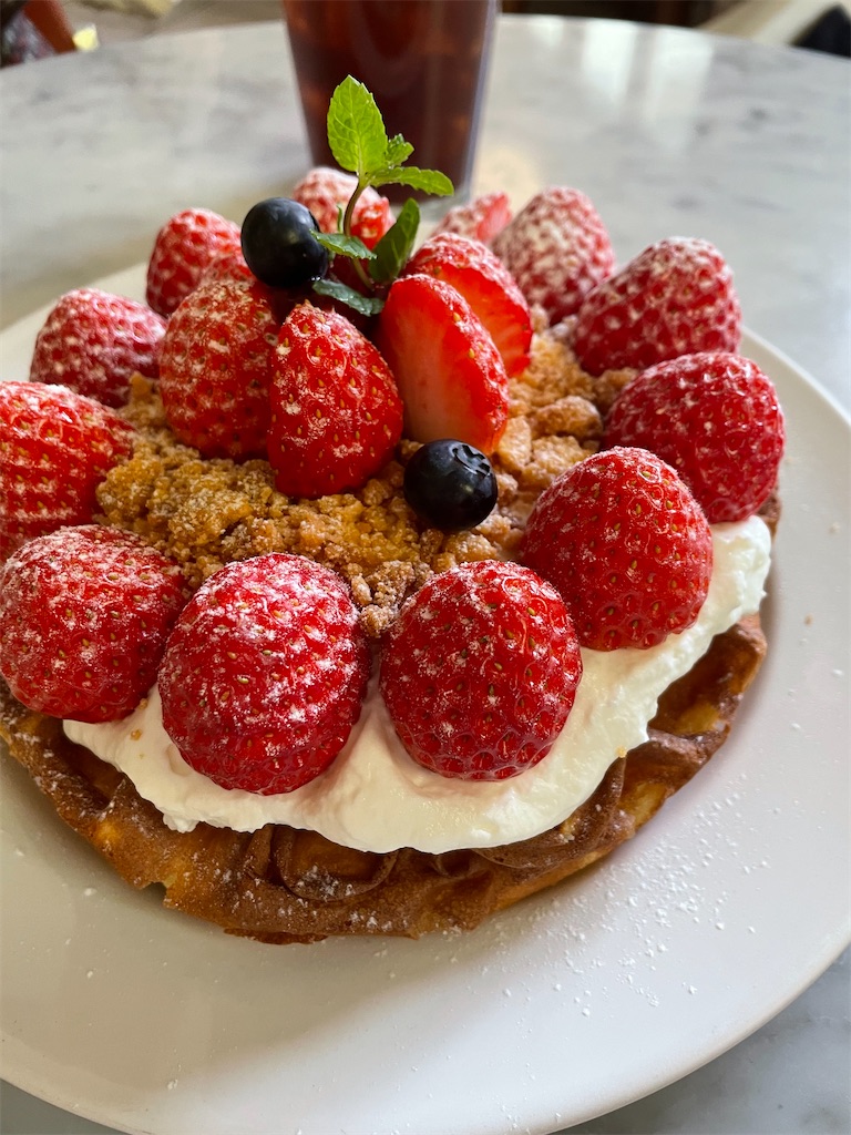 f:id:kanelbulle47:20230221192720j:image