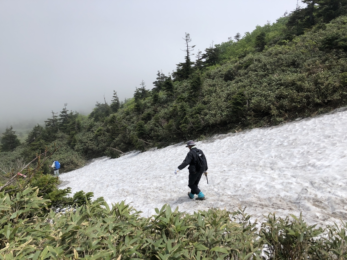 f:id:kanenashikodhi:20190716172005j:plain