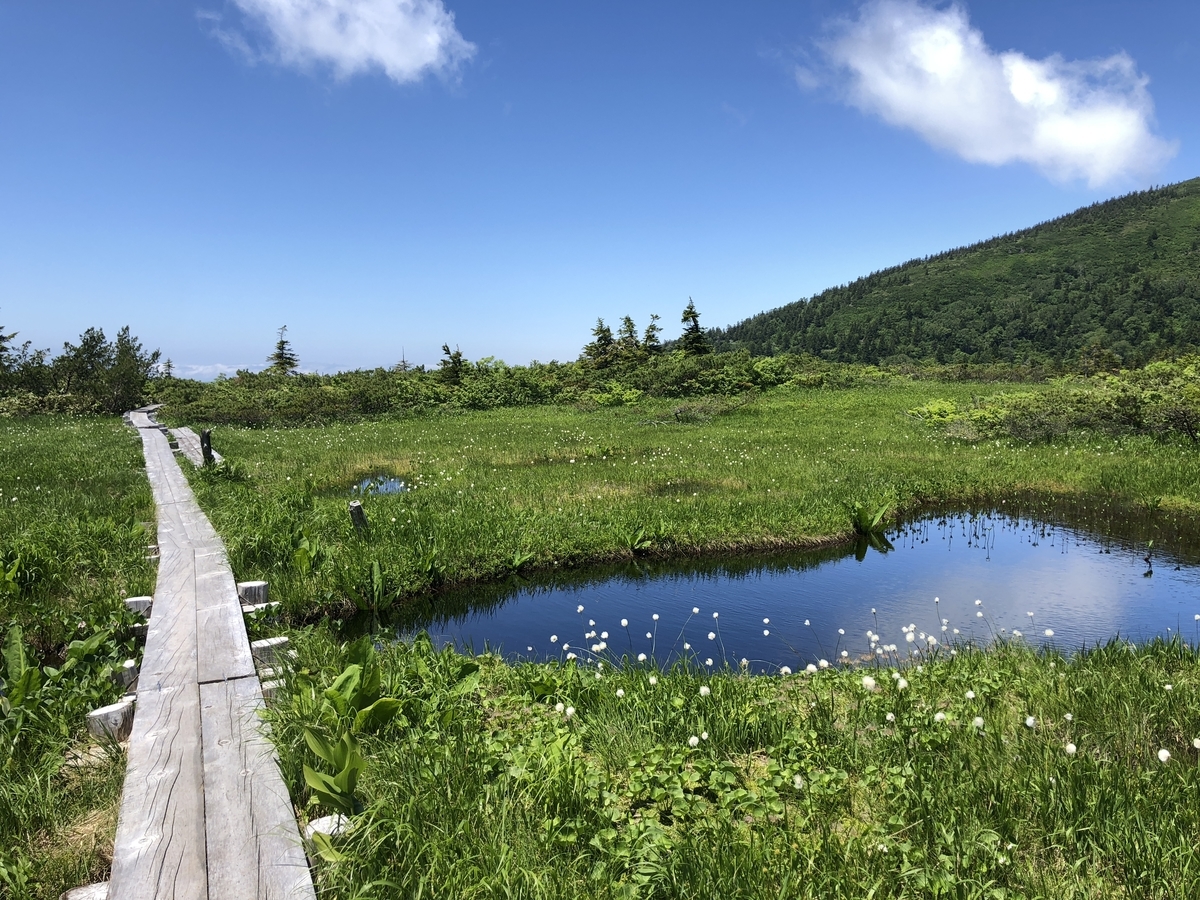 f:id:kanenashikodhi:20190718215224j:plain
