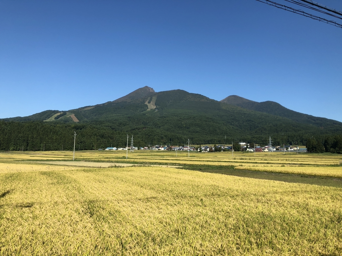 f:id:kanenashikodhi:20191101094855j:plain f:id:kanenashikodhi:20191101094855j:plain