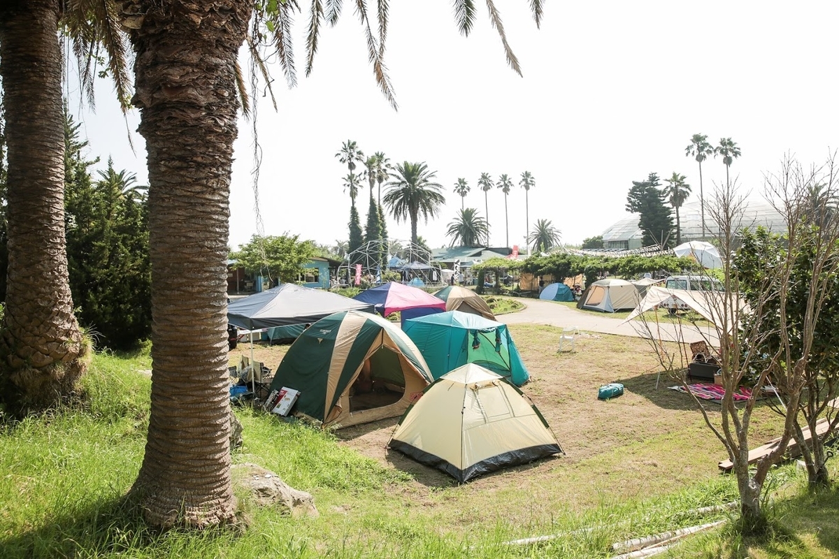 f:id:kanenashikodhi:20200510105947j:plain