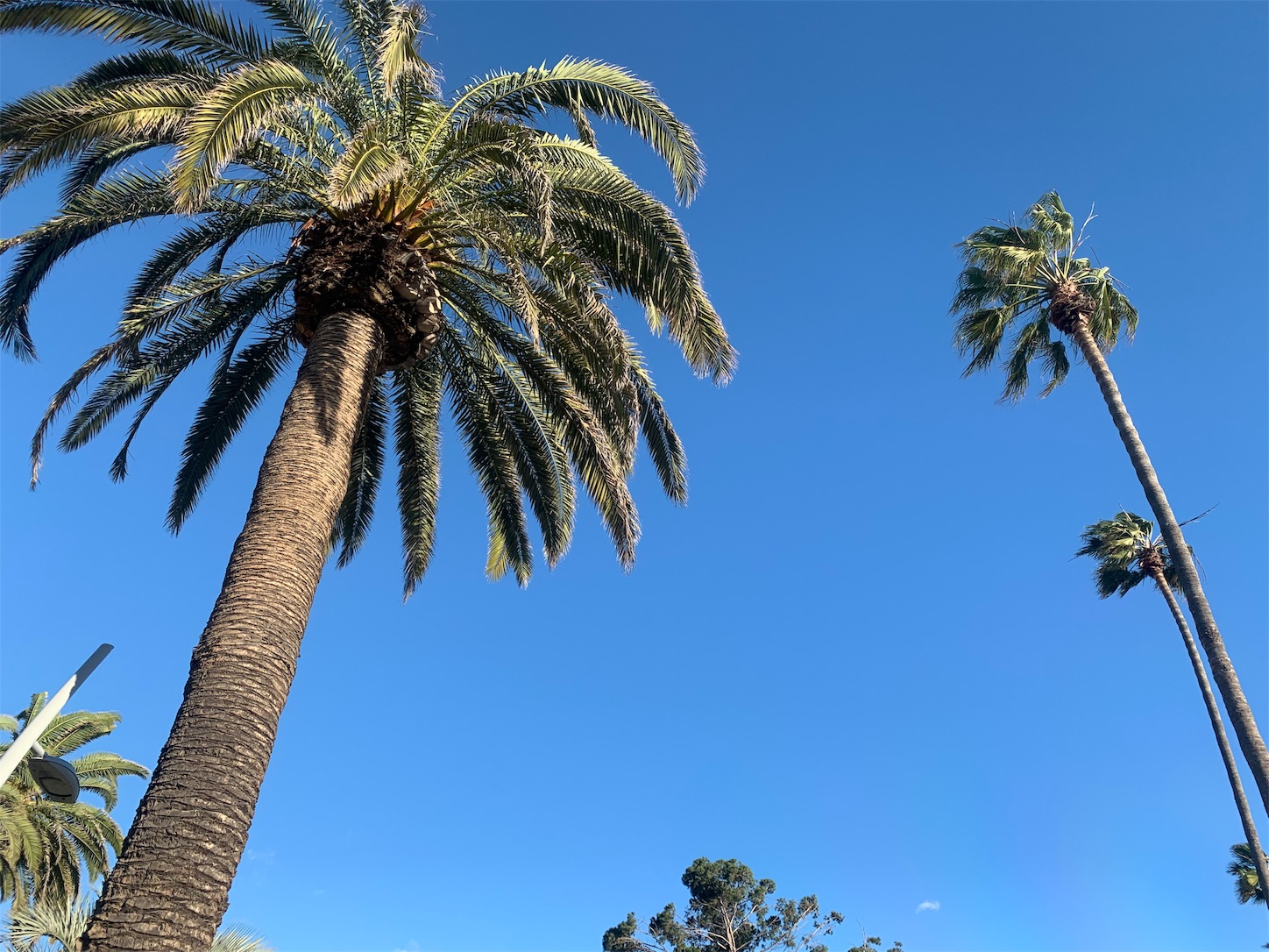f:id:kanenonarumachi:20190122135534j:image