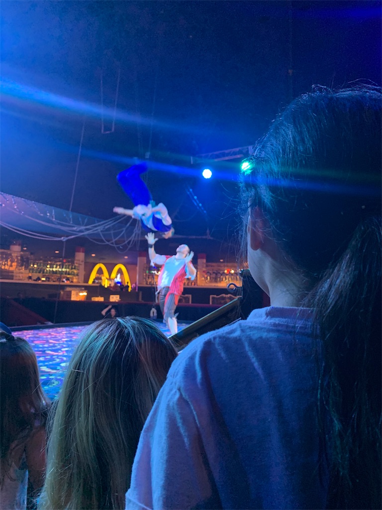 f:id:kanenonarumachi:20190708070908j:image