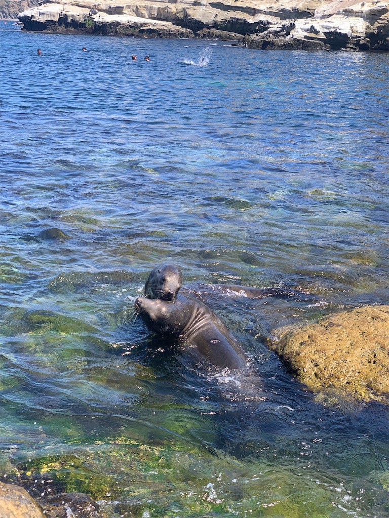 f:id:kanenonarumachi:20190824080157j:image