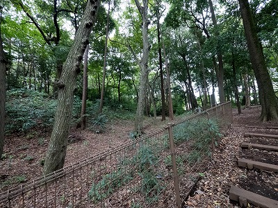 イメージ 36