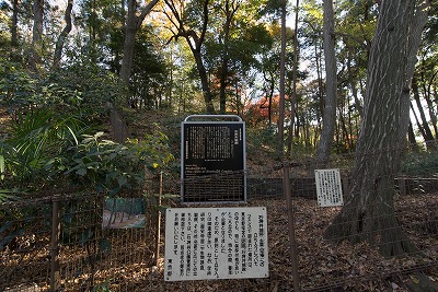 イメージ 40