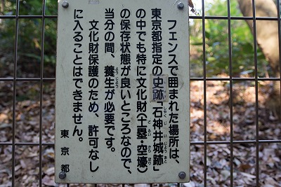 イメージ 41